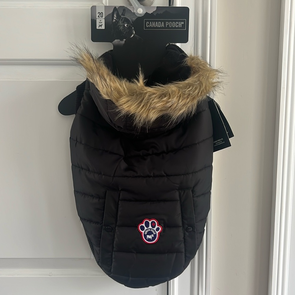 CANADA POOCH - North Pole Parka - Black